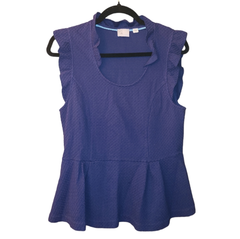 2/$50 Anthropologie 9-HI5 STCL Sleeveless Blue Top